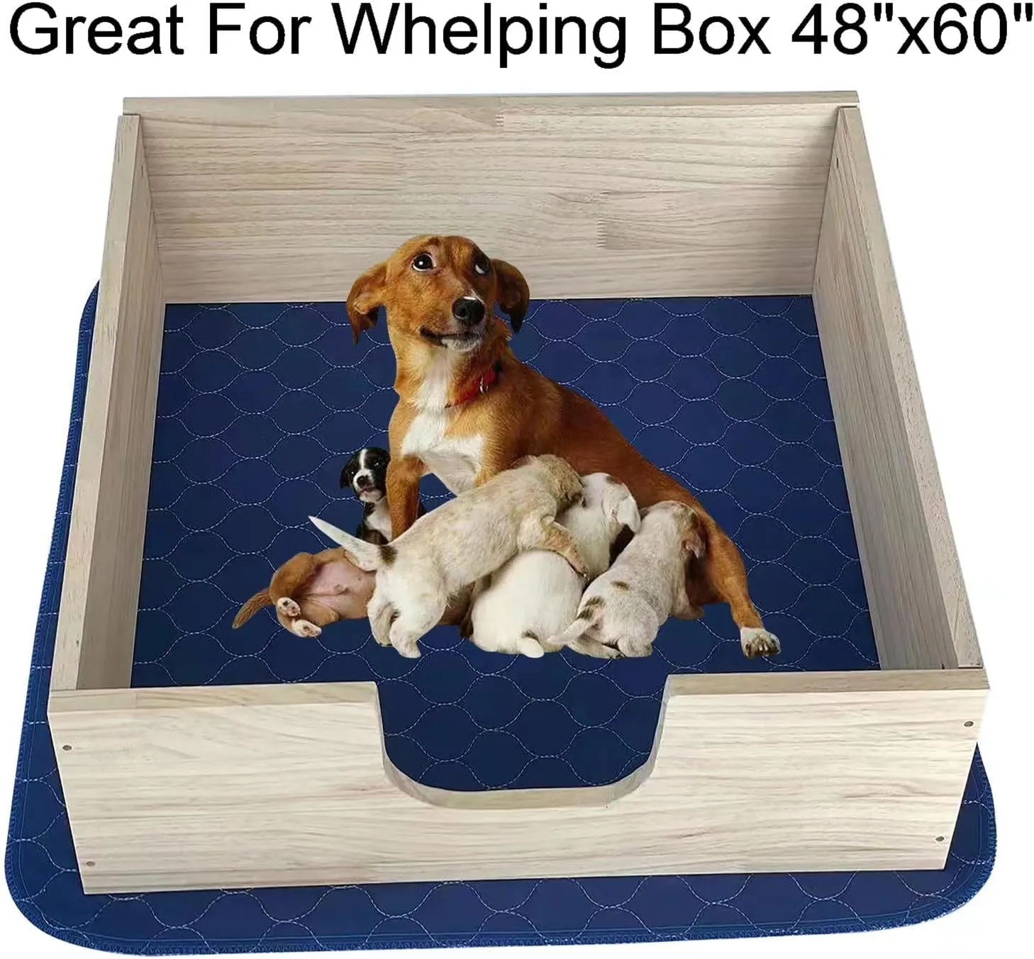 2Pack Dog Pads Washable 53x65, Extra Large Puppy Pads Waterproof, Super Absorption, Anti Skid Whelping Pad for Puppy Pen