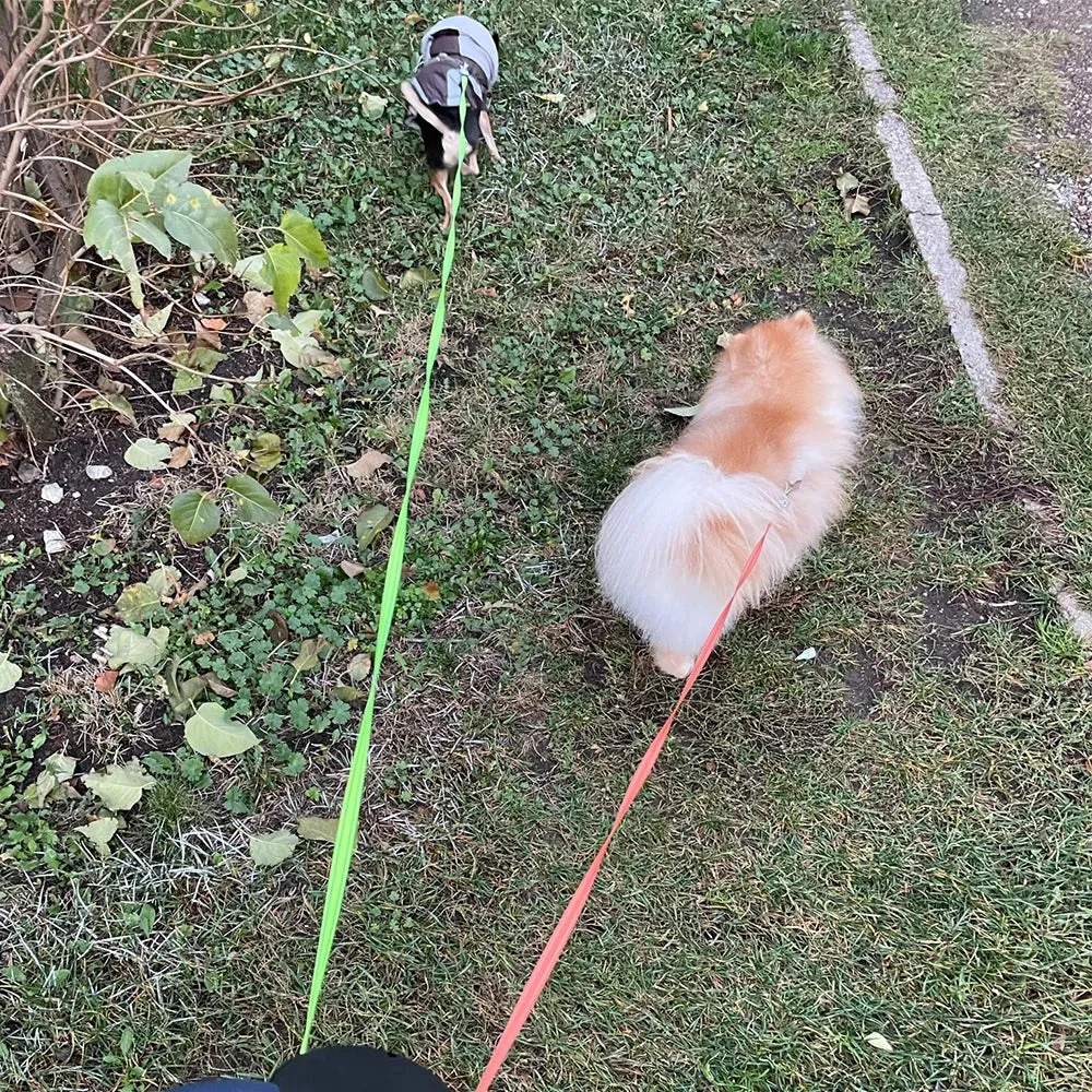 Auto Retractable Dual Dog Leash 3m With Flashlight Waste Bag Box Roulette Double-Ended Traction Rope Pet supplies