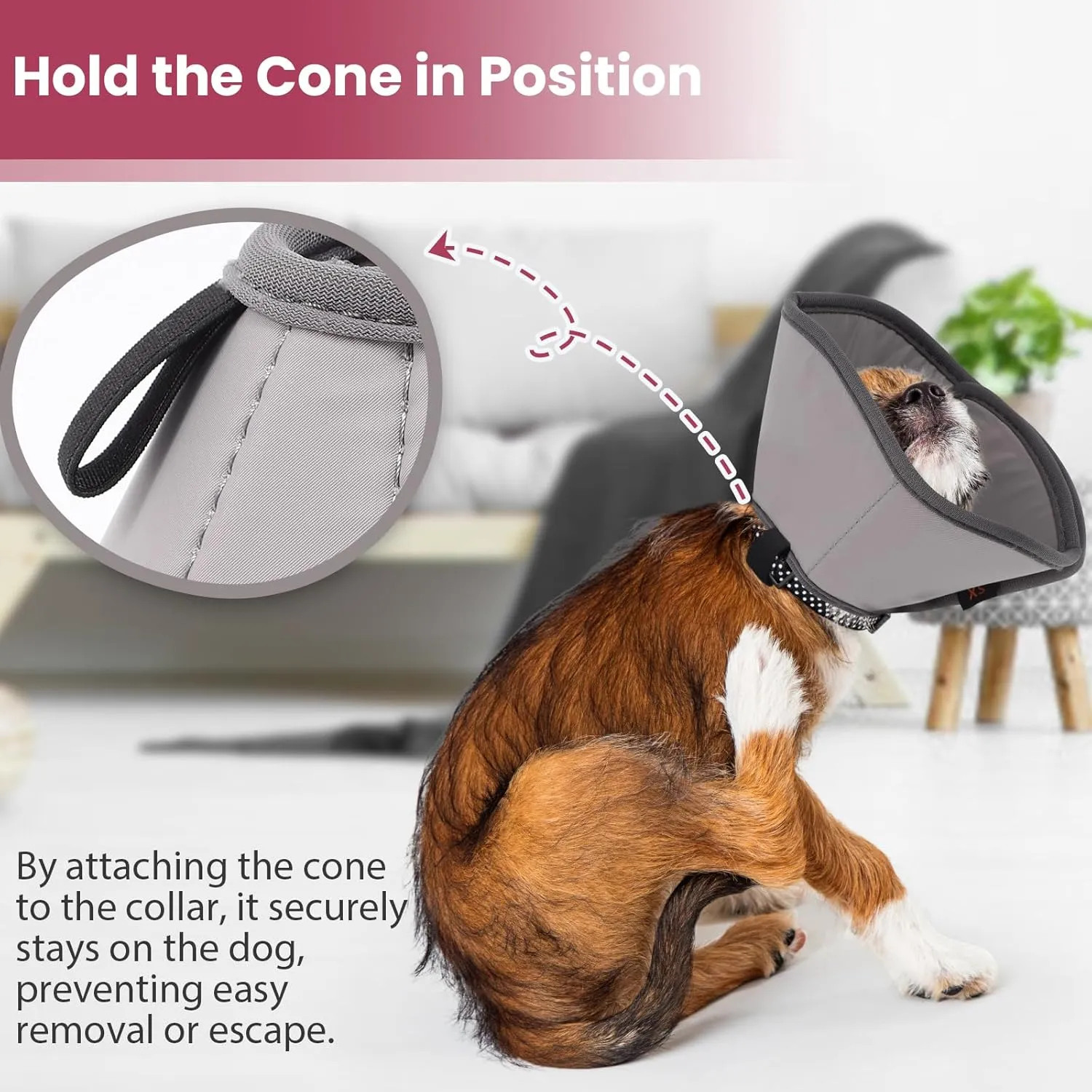 BARKLESS Dog Cone, Soft Cones for Large Dogs After Surgery to Stop Licking, Adjustable Elizabethan Collar for Neuter Surgery, Lightweight Recovery Collar