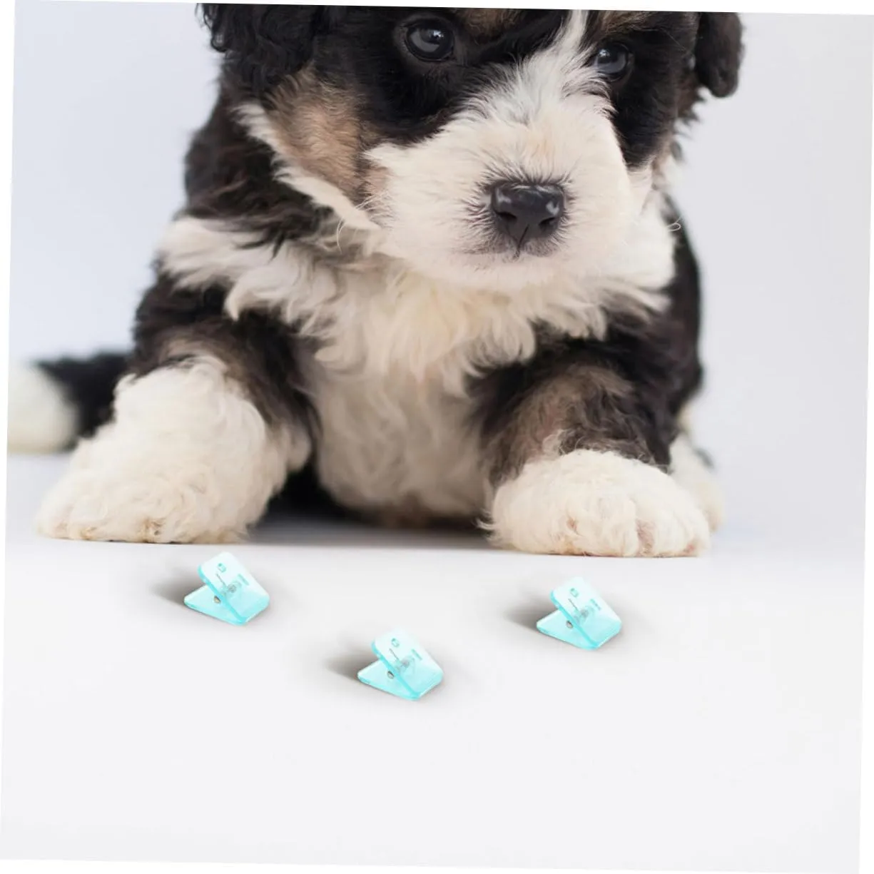BESPORTBLE Puppy Potty Training Pad Holder 8pcs Dog Wee Wee Pad Wall Clip Reusable Water-Resistant Non-Slip for Dogs Cat Pet Supplies