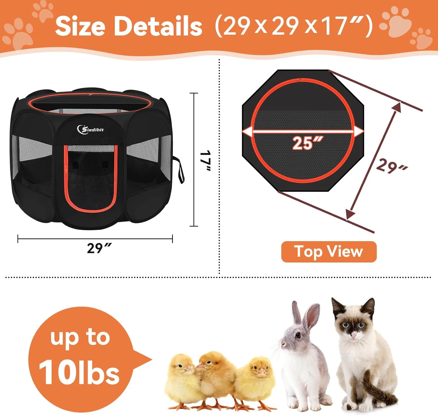 Black Dog Playpen,/,,,//,