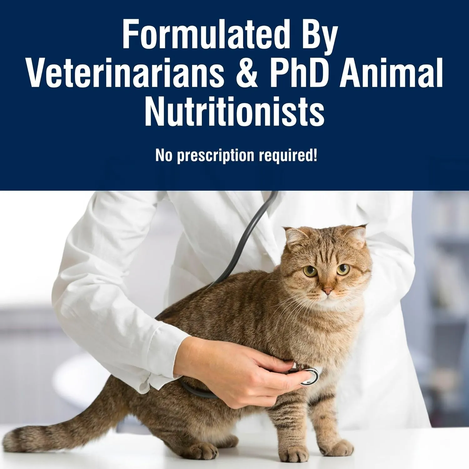 Blue Buffalo True Solutions Digestive Care Natural Dry Cat Food for Adult Cats, Chicken, 3.5-lb. Bag
