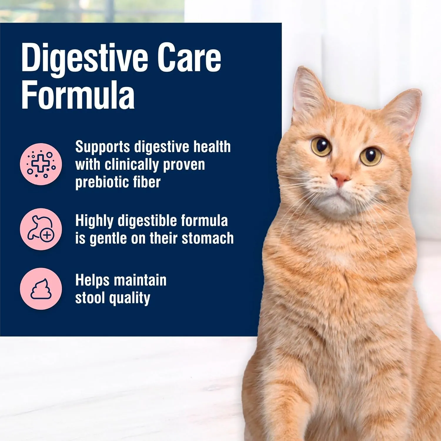 Blue Buffalo True Solutions Digestive Care Natural Dry Cat Food for Adult Cats, Chicken, 3.5-lb. Bag