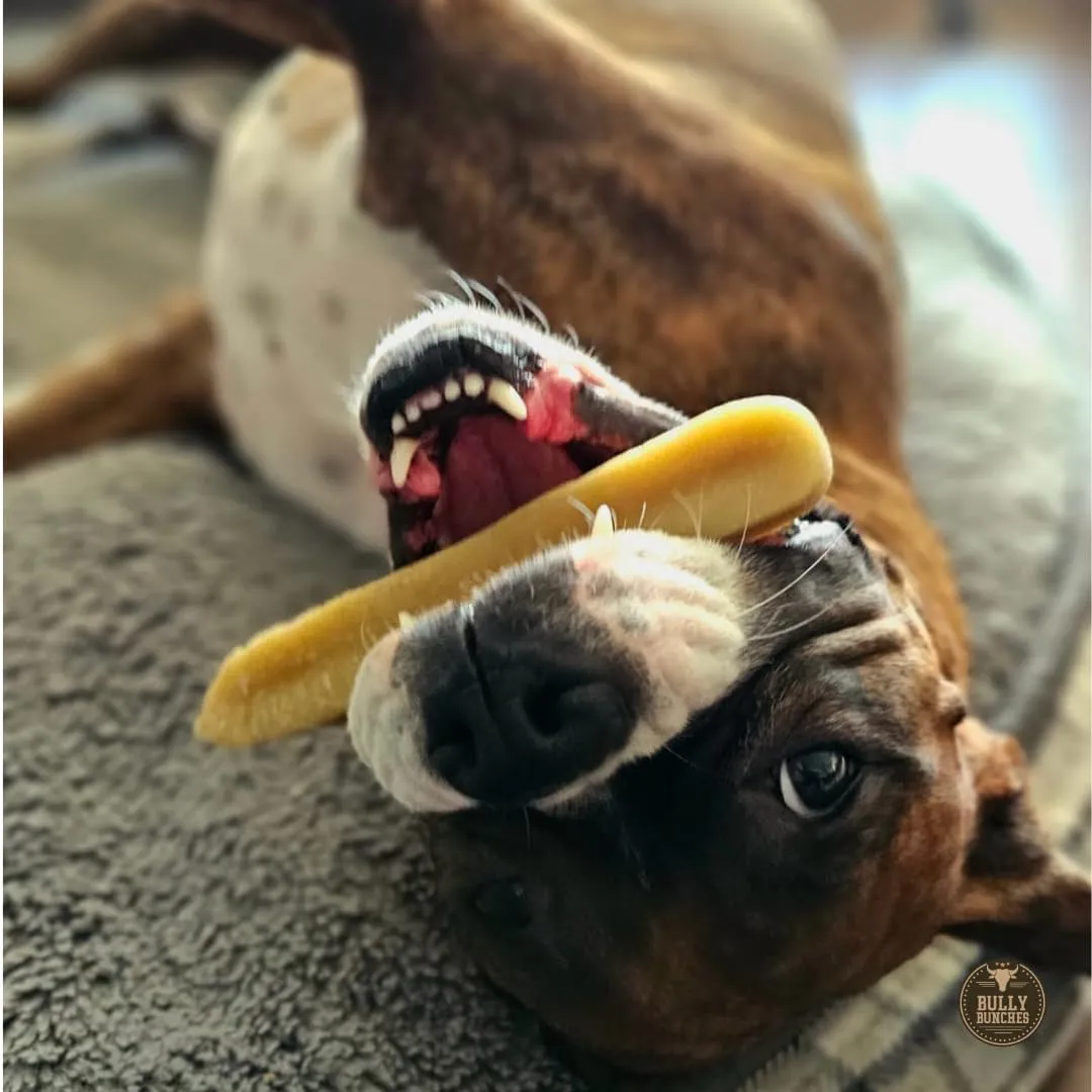 Bully Bunches Large Authentic Yak Cheese Himalayan Chews for Large Dogs & Heavy Chewers - All Natural Dog Treat Dental Chews, Made with Real Yak Milk - Lactose & Rawhide Free (6 Pk)