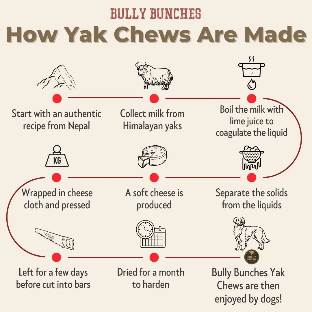 Bully Bunches Large Authentic Yak Cheese Himalayan Chews for Large Dogs & Heavy Chewers - All Natural Dog Treat Dental Chews, Made with Real Yak Milk - Lactose & Rawhide Free (6 Pk)