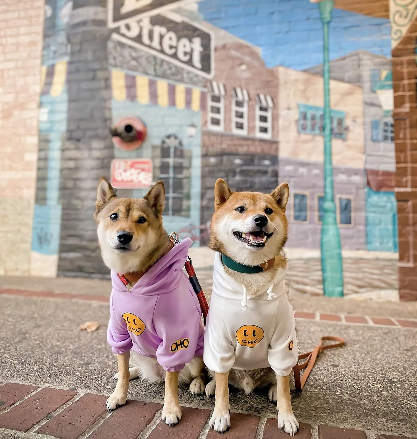 ChoChoCho Smiley Dog Hoodie Stylish Dog Clothes Smiley Face Sweater Cotton Sweatshirt Fashion Outfit for Dogs Cats Puppy Small Medium Large (S, Purple)