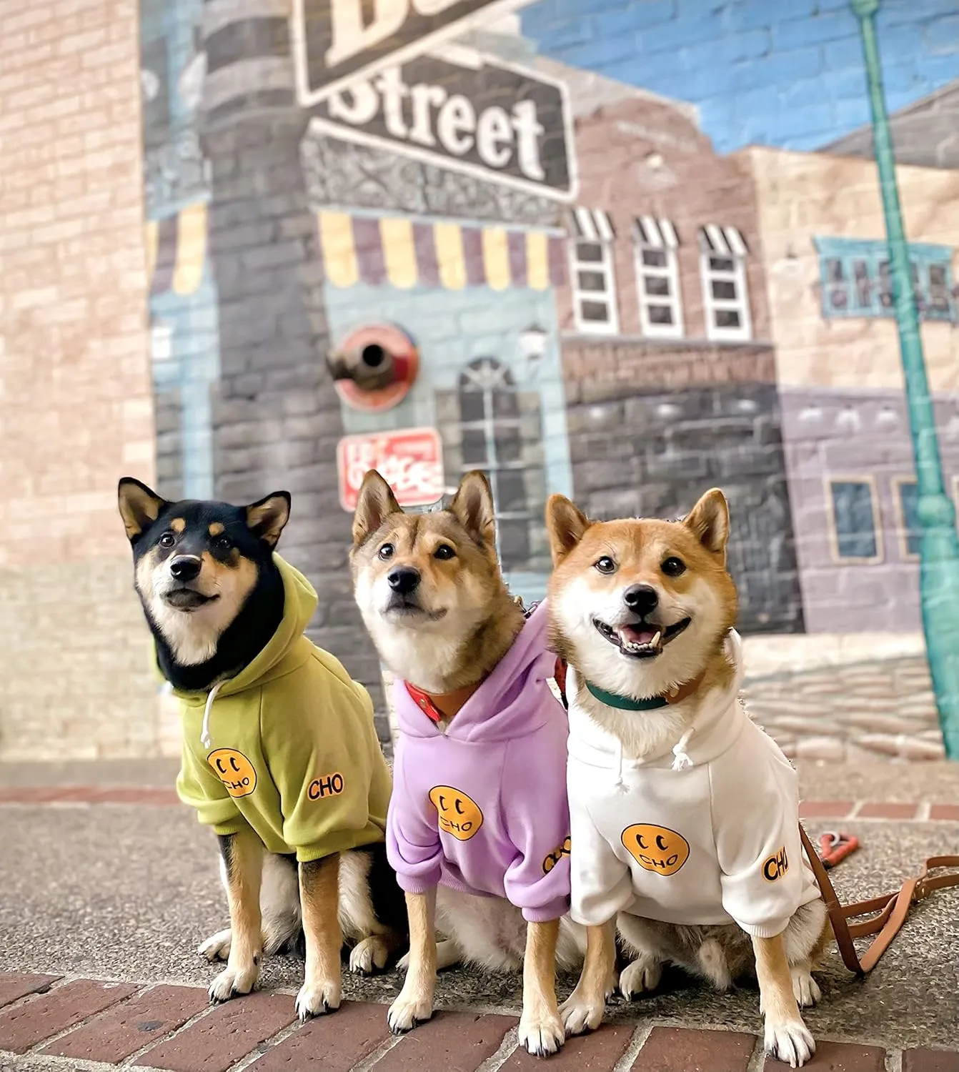 ChoChoCho Smiley Dog Hoodie Stylish Dog Clothes Smiley Face Sweater Cotton Sweatshirt Fashion Outfit for Dogs Cats Puppy Small Medium Large (S, Purple)