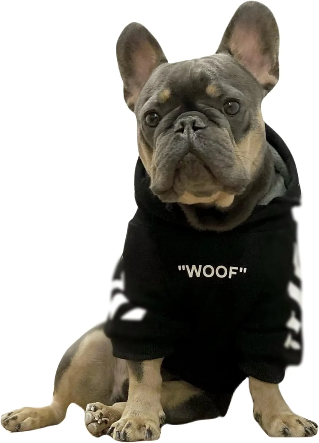 ChoChoCho Stylish Dog Hoodie Dog Clothes Streetwear Cotton Sweatshirt Fashion Outfit for Dogs Cats Puppy Small Medium Large (2XL, Black)