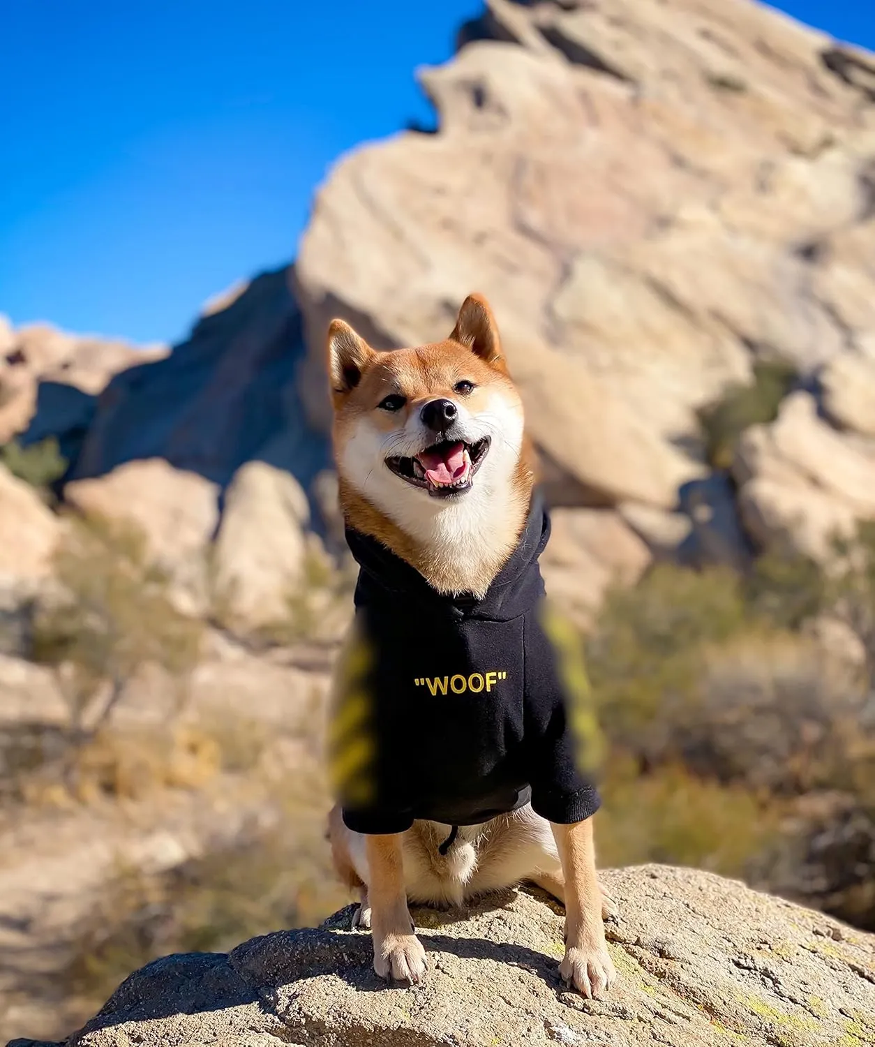 ChoChoCho Stylish Dog Hoodie Dog Clothes Streetwear Cotton Sweatshirt Fashion Outfit for Dogs Cats Puppy Small Medium Large (2XL, Yellow)