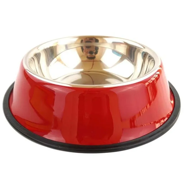 Colourful Stainless Steel Bowl