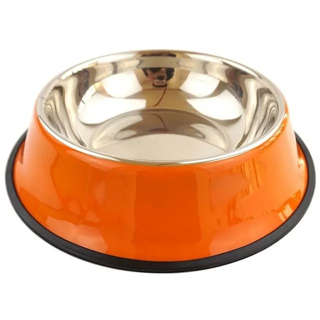 Colourful Stainless Steel Bowl