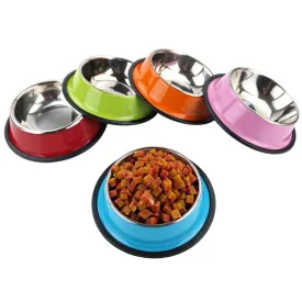 Colourful Stainless Steel Bowl