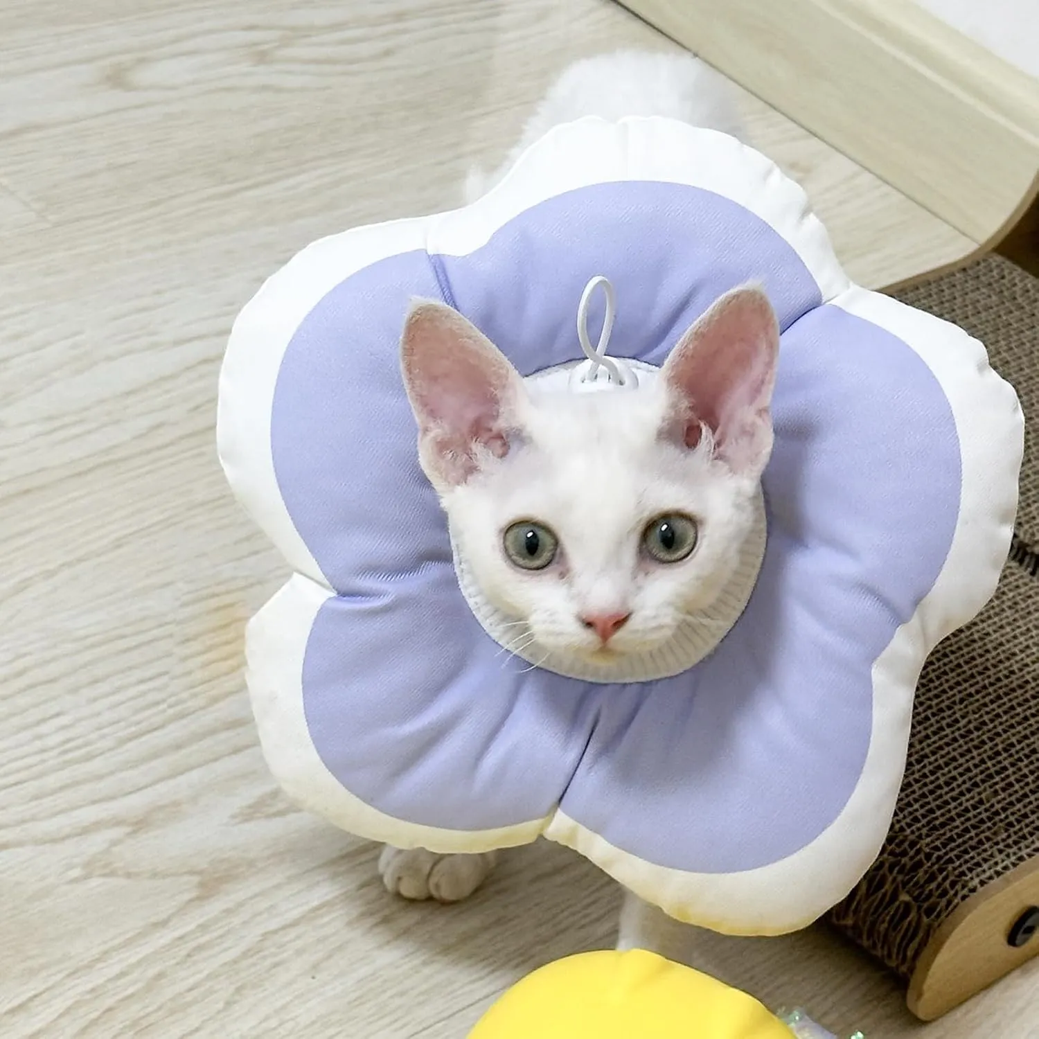 Cute Flower Cone, Anti-Splashing Water Soft E Collar for Cats After Surgery, Neck Pillow for Cozy Sleep and Anti-Licking, Donut Cone for Puppies to Take Photos (Purple, S)