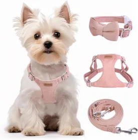 Dog Harness and Leash Set, XXS No Pull Adjustable Puppy Harness with Multifunction Pink Dog Leash and Dog Collar, Soft No Choke Escape Proof Pet Harness Vest for Small Dogs and Cats (Pink, M)