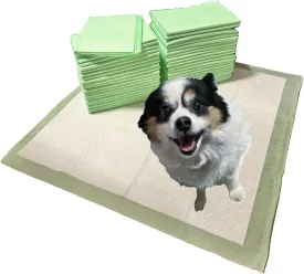 GFF 24x24, Large Puppy Pee Pads w/ Heavy-Duty Leak Protection, Strong and Durable, 2X Thicker Quilted Green Pattern (40 Count)