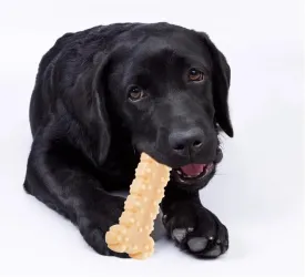 Indestructible Dog Chew Toy for Aggressive Chewers  Tough Nylon Dog Bone for Large Dogs, Medium & Small Breeds  Peanut Butter Flavored, Durable Teething Toy for Puppies  Safe & Long-Lasting