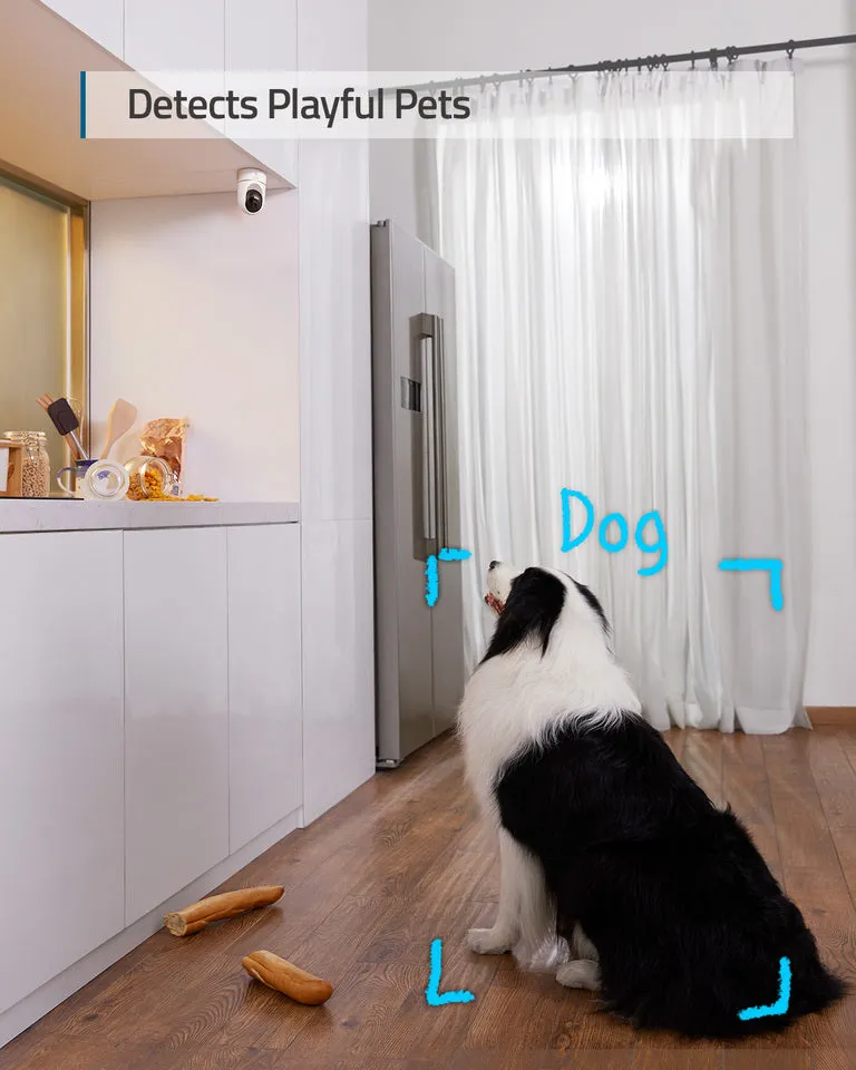 Indoor Cam E220（Renewed）