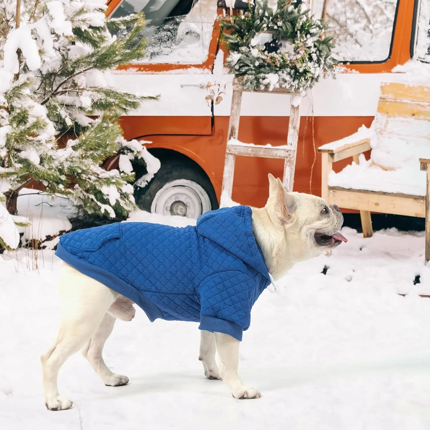 KOOLTAIL Dog Hoodie Pet Clothes Sweater with Hat and Pocket for Small Medium Large Dogs, Warm Soft Dog Cold Weather Coat, Clover Laminated Cotton Hooded Sweatshirt Outfit for Puppy Cats, Blue SM