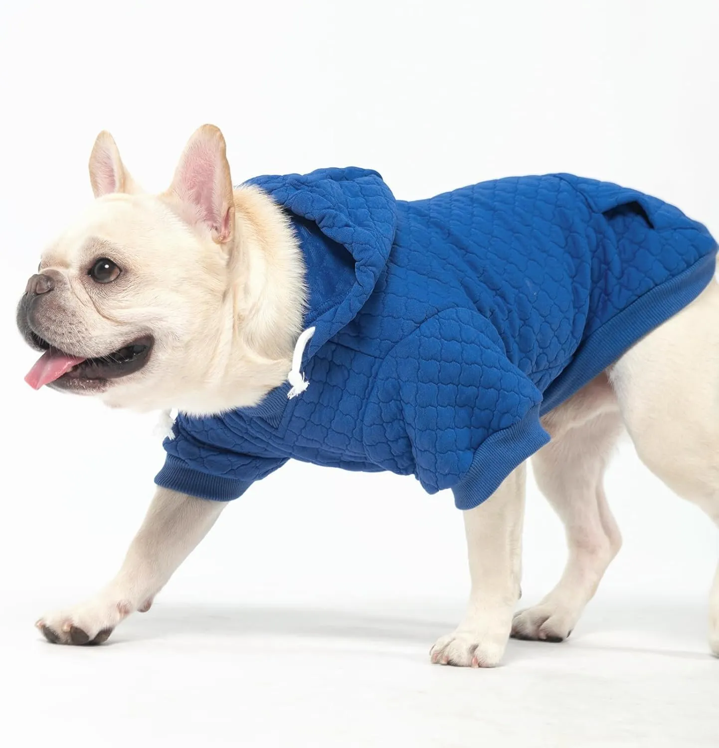 KOOLTAIL Dog Hoodie Pet Clothes Sweater with Hat and Pocket for Small Medium Large Dogs, Warm Soft Dog Cold Weather Coat, Clover Laminated Cotton Hooded Sweatshirt Outfit for Puppy Cats, Blue SM