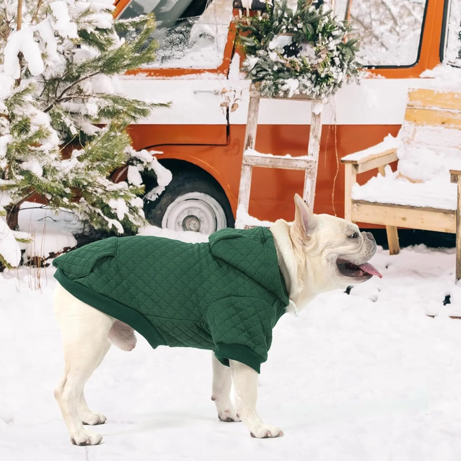 KOOLTAIL Dog Hoodie Pet Clothes Sweater with Hat and Pocket for Small Medium Large Dogs, Warm Soft Dog Cold Weather Coat, Clover Laminated Cotton Hooded Sweatshirt Outfit for Puppy Cats, Green SM