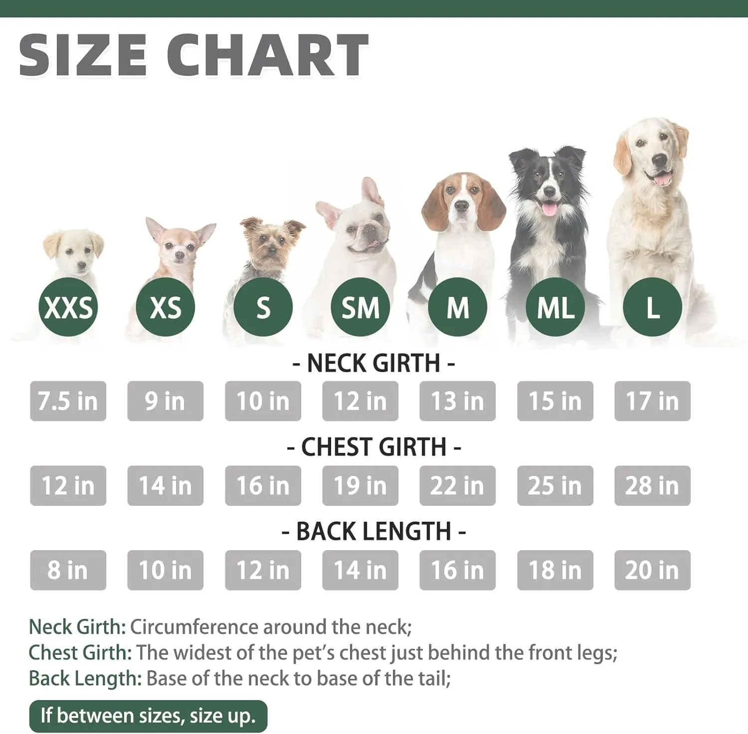 KOOLTAIL Dog Hoodie Pet Clothes Sweater with Hat and Pocket for Small Medium Large Dogs, Warm Soft Dog Cold Weather Coat, Clover Laminated Cotton Hooded Sweatshirt Outfit for Puppy Cats, Green SM