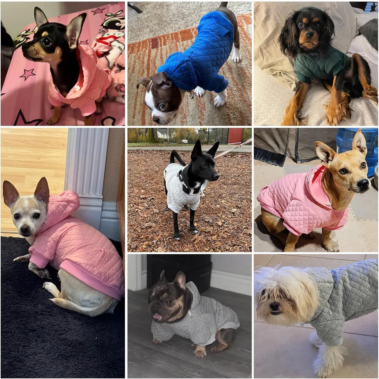 KOOLTAIL Dog Hoodie Pet Clothes Sweater with Hat and Pocket for Small Medium Large Dogs, Warm Soft Dog Cold Weather Coat, Clover Laminated Cotton Hooded Sweatshirt Outfit for Puppy Cats, Green SM