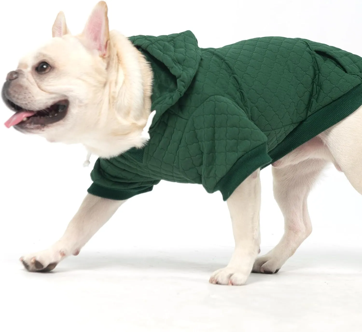 KOOLTAIL Dog Hoodie Pet Clothes Sweater with Hat and Pocket for Small Medium Large Dogs, Warm Soft Dog Cold Weather Coat, Clover Laminated Cotton Hooded Sweatshirt Outfit for Puppy Cats, Green SM