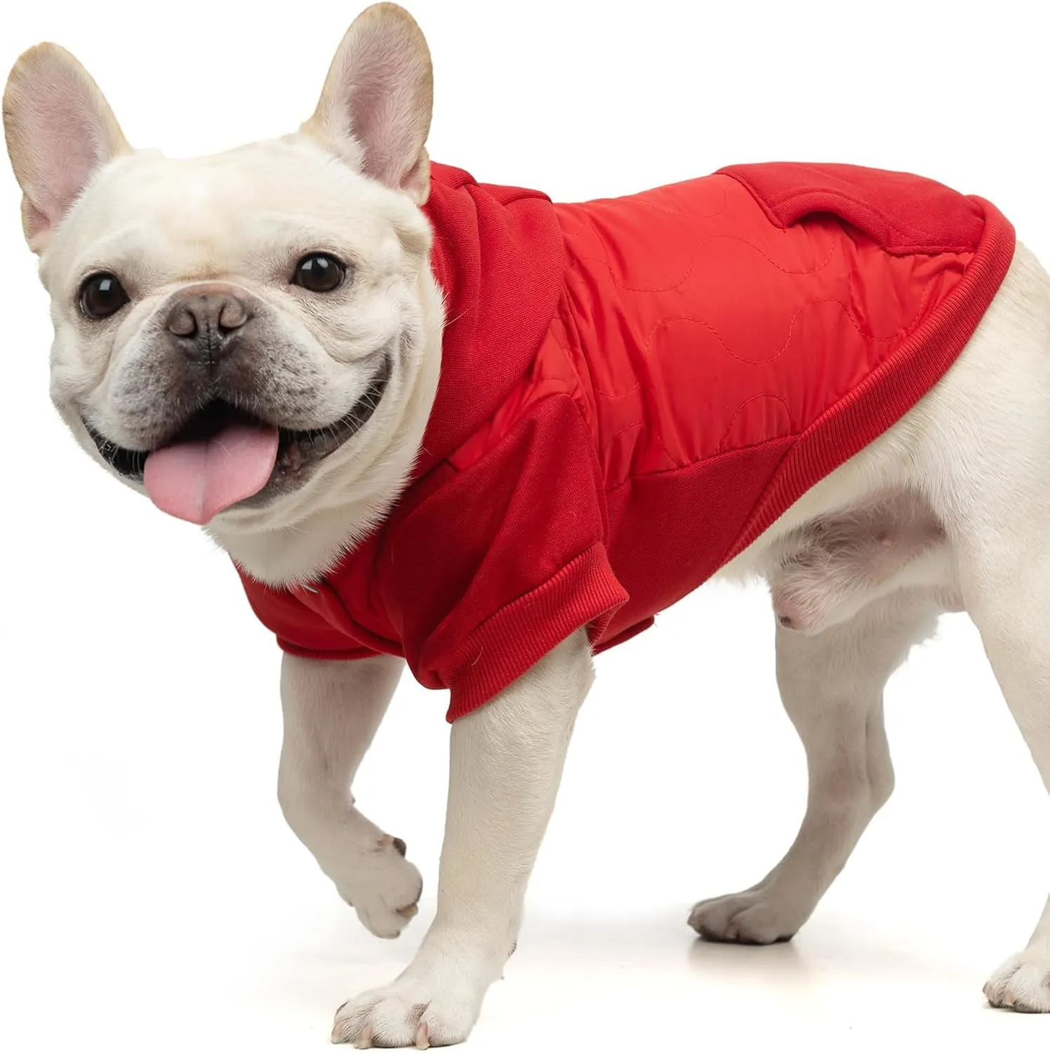KOOLTAIL Warm Winter Coat for Small Dogs, Waterproof Dog Jacket with Leash Hole, Soft Pet Hoodie Sweater Clothes Outfit for Puppy Cats Girls Boys Red S