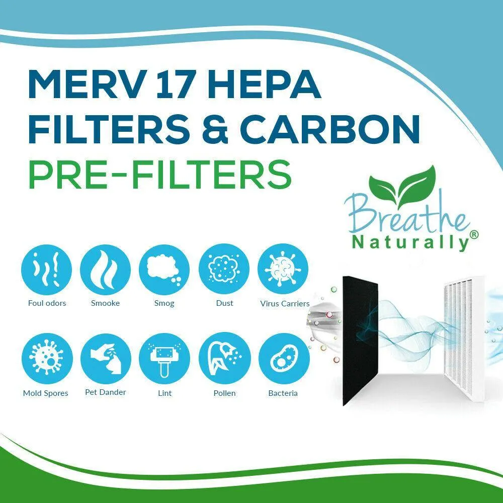 Levoit LV-PUR131 Replacement HEPA Filter   Carbon Pad