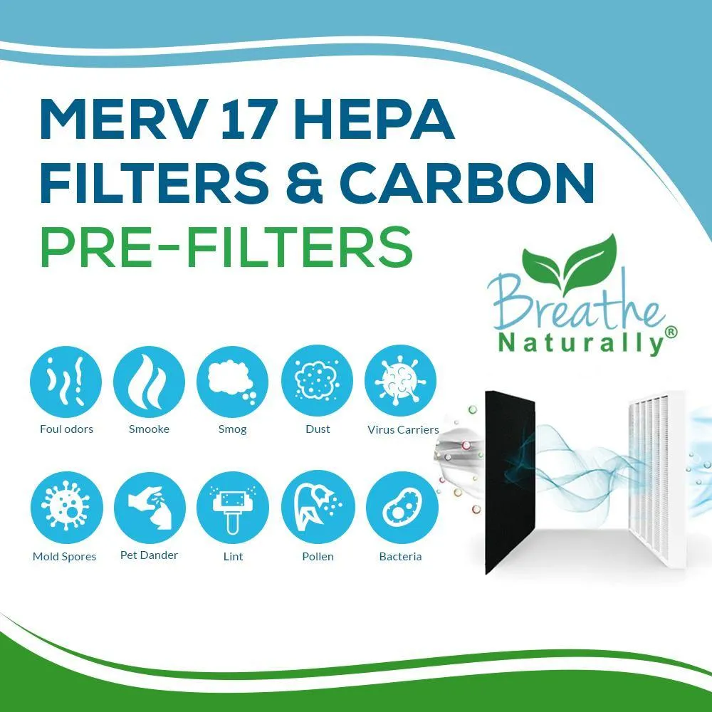Levoit LV-PUR131 Replacement HEPA Filter   Carbon Pad