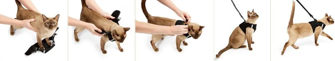Metal Free Leash Harness Designed for Small Pets who fit underseat of Airplane (M2)