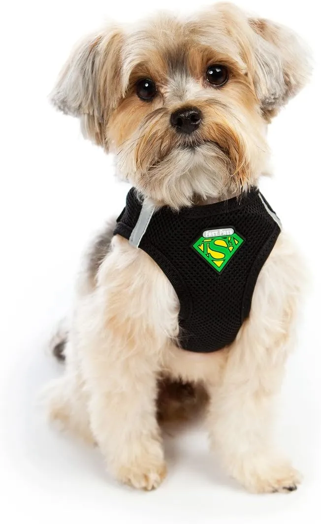 Metal Free Leash Harness Designed for Small Pets who fit underseat of Airplane (M2)