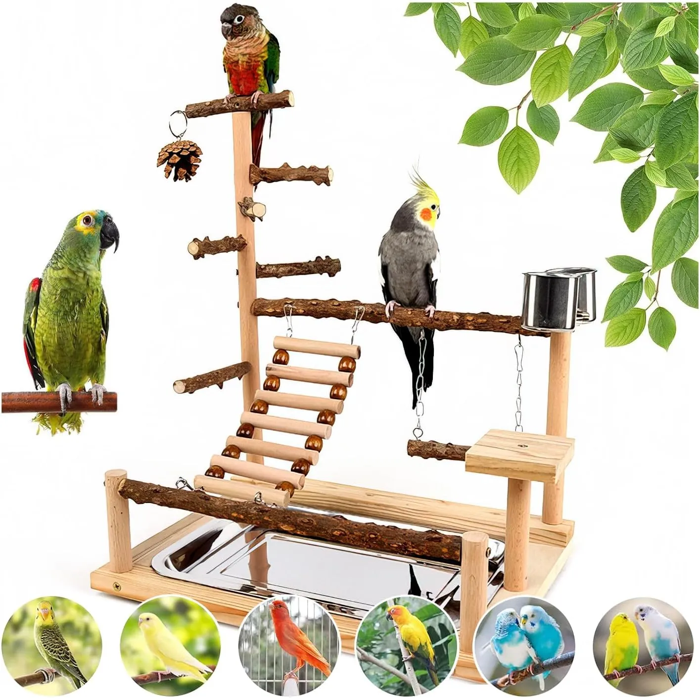 Natural Wood Bird Play Stands for Cockatiel - Parrot Perch Stand with Removable Tray and 2 Stainless Steel Cups, Parrot Swing