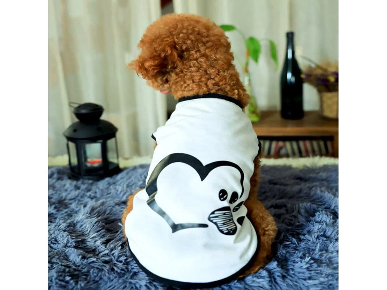 Pet Clothes Type 3