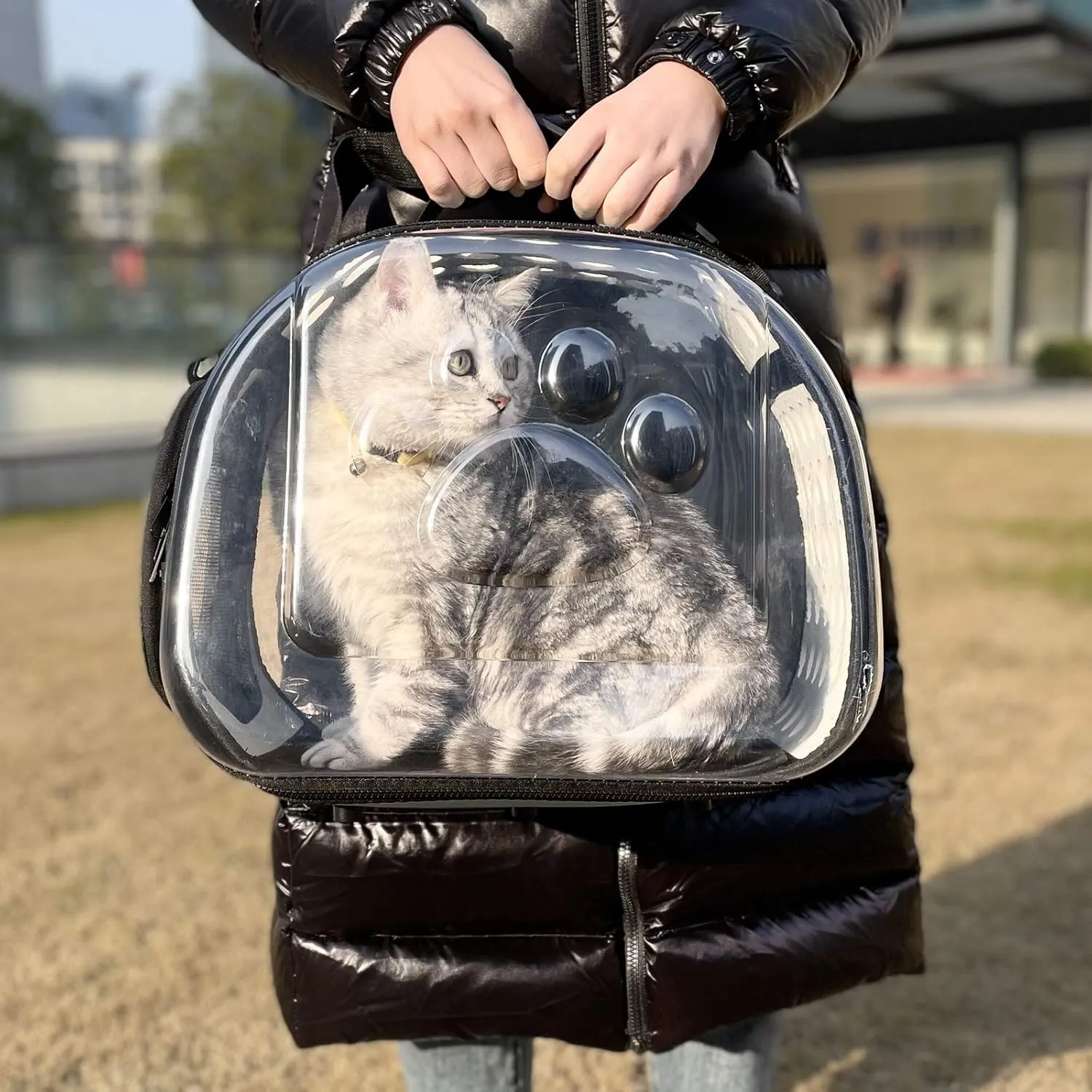 PetLike Airline Approved Pet Carrier Soft Sided Collapsible Travel Bag for Cats & Small Dogs (Black, Leather)
