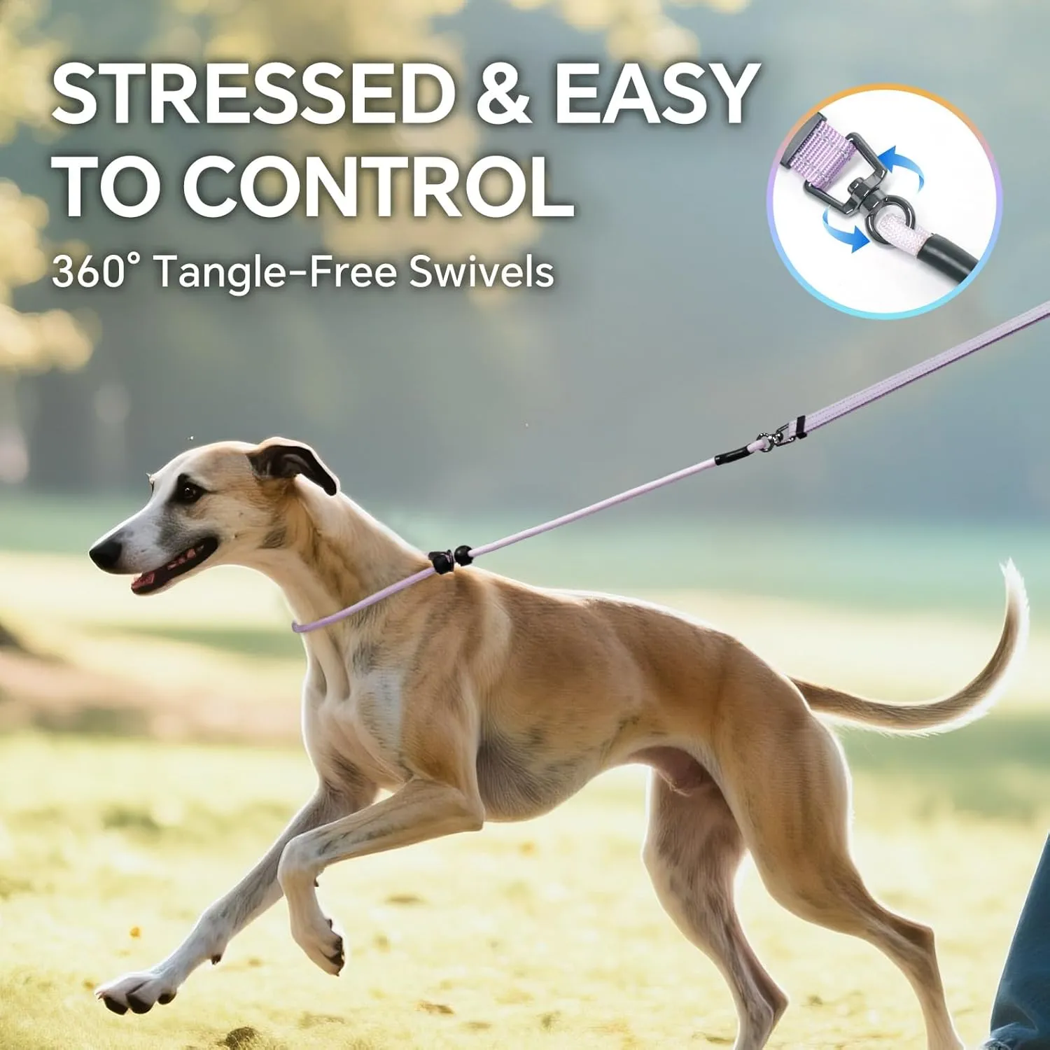 QQPETS Adjustable Slip Lead Dog Leash, Hands Free Waist Leash for Dog Walking, Reflective Training Lead with 360 Swivel Anti-Tangle, 4-7 ft Length for All Breeds