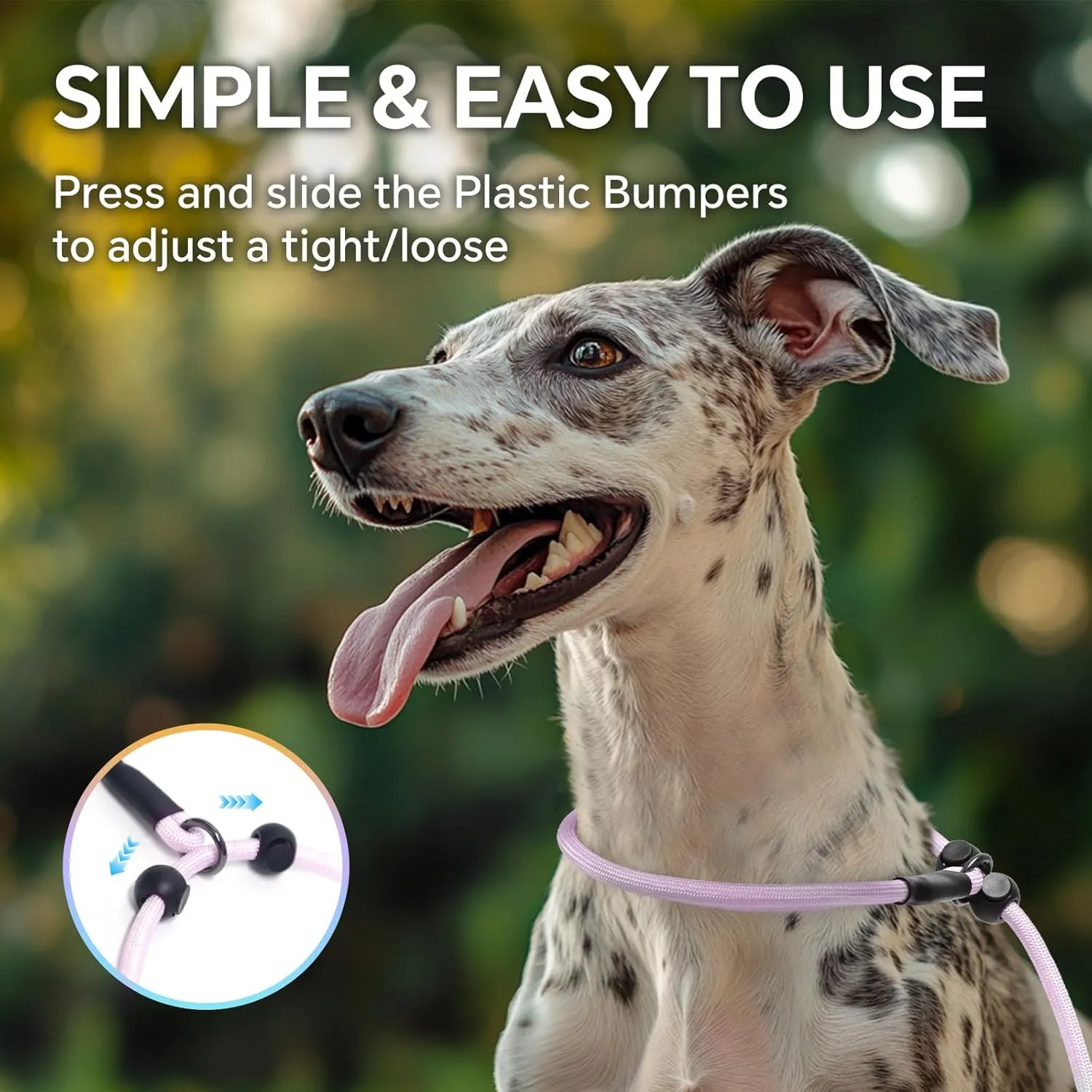 QQPETS Adjustable Slip Lead Dog Leash, Hands Free Waist Leash for Dog Walking, Reflective Training Lead with 360 Swivel Anti-Tangle, 4-7 ft Length for All Breeds