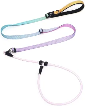 QQPETS Adjustable Slip Lead Dog Leash, Hands Free Waist Leash for Dog Walking, Reflective Training Lead with 360 Swivel Anti-Tangle, 4-7 ft Length for All Breeds