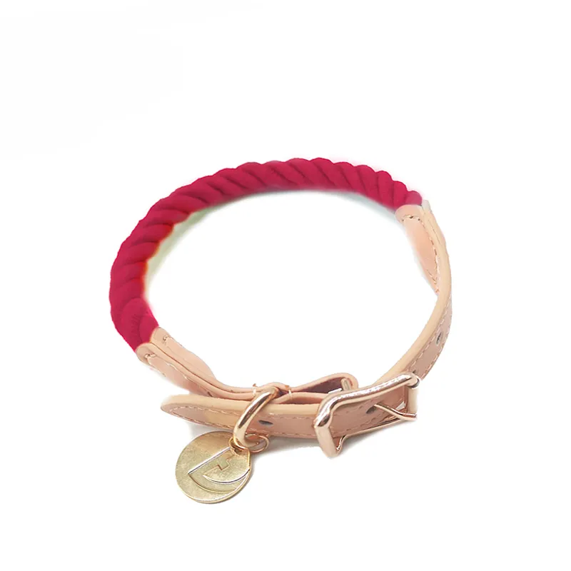Rainbow Dog Collar