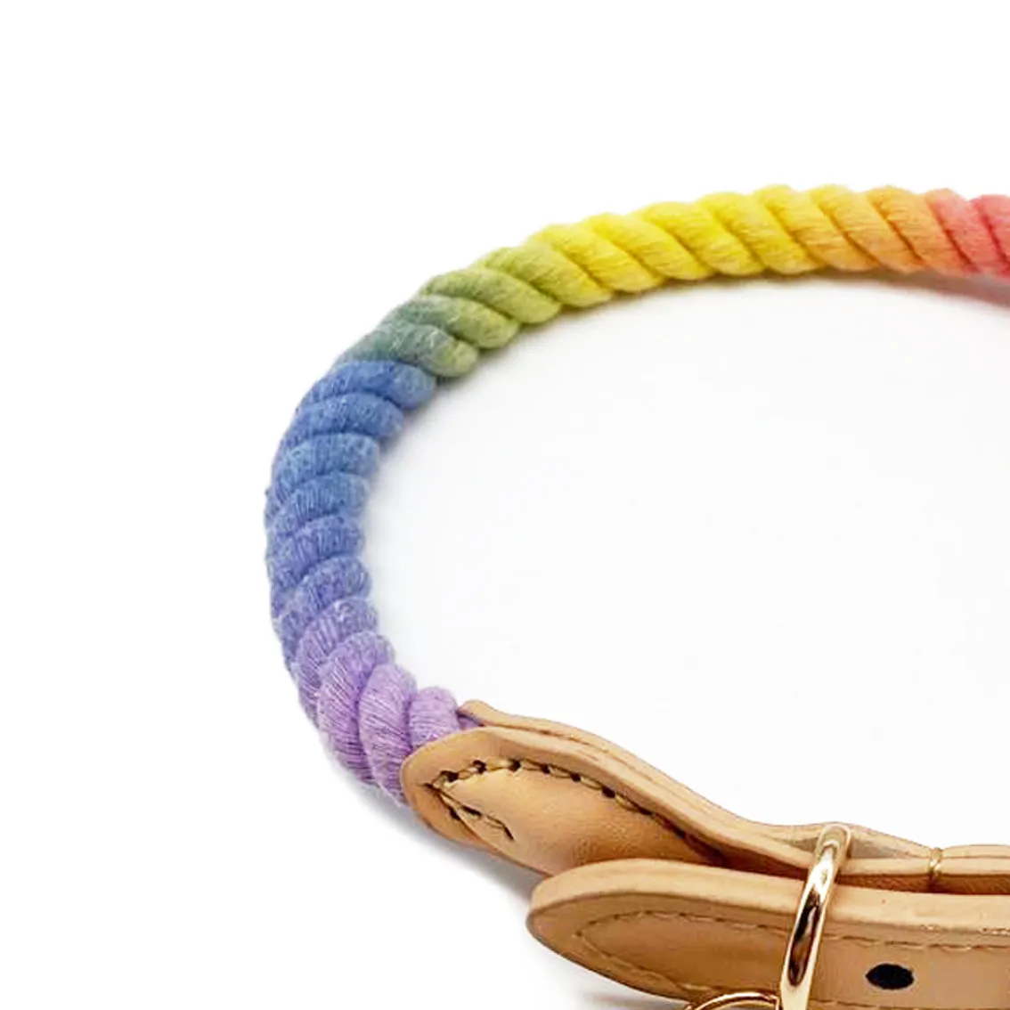 Rainbow Dog Collar