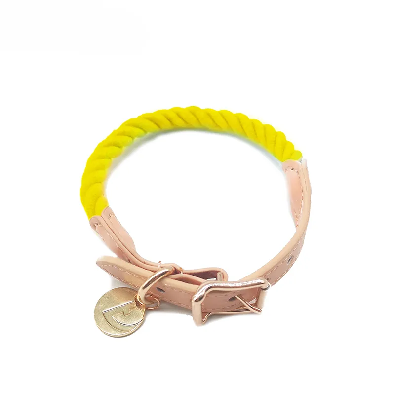 Rainbow Dog Collar