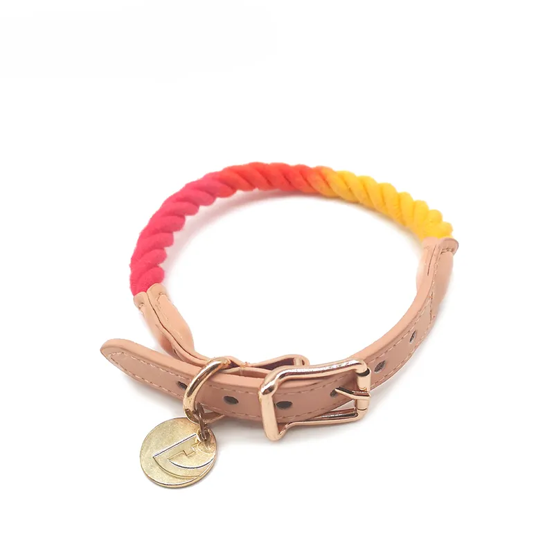 Rainbow Dog Collar