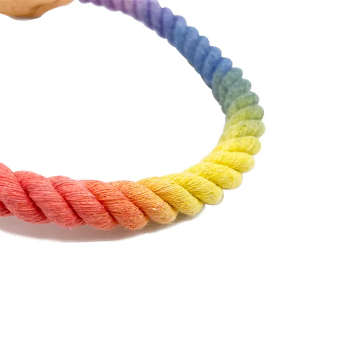 Rainbow Dog Collar