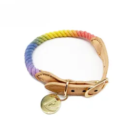 Rainbow Dog Collar