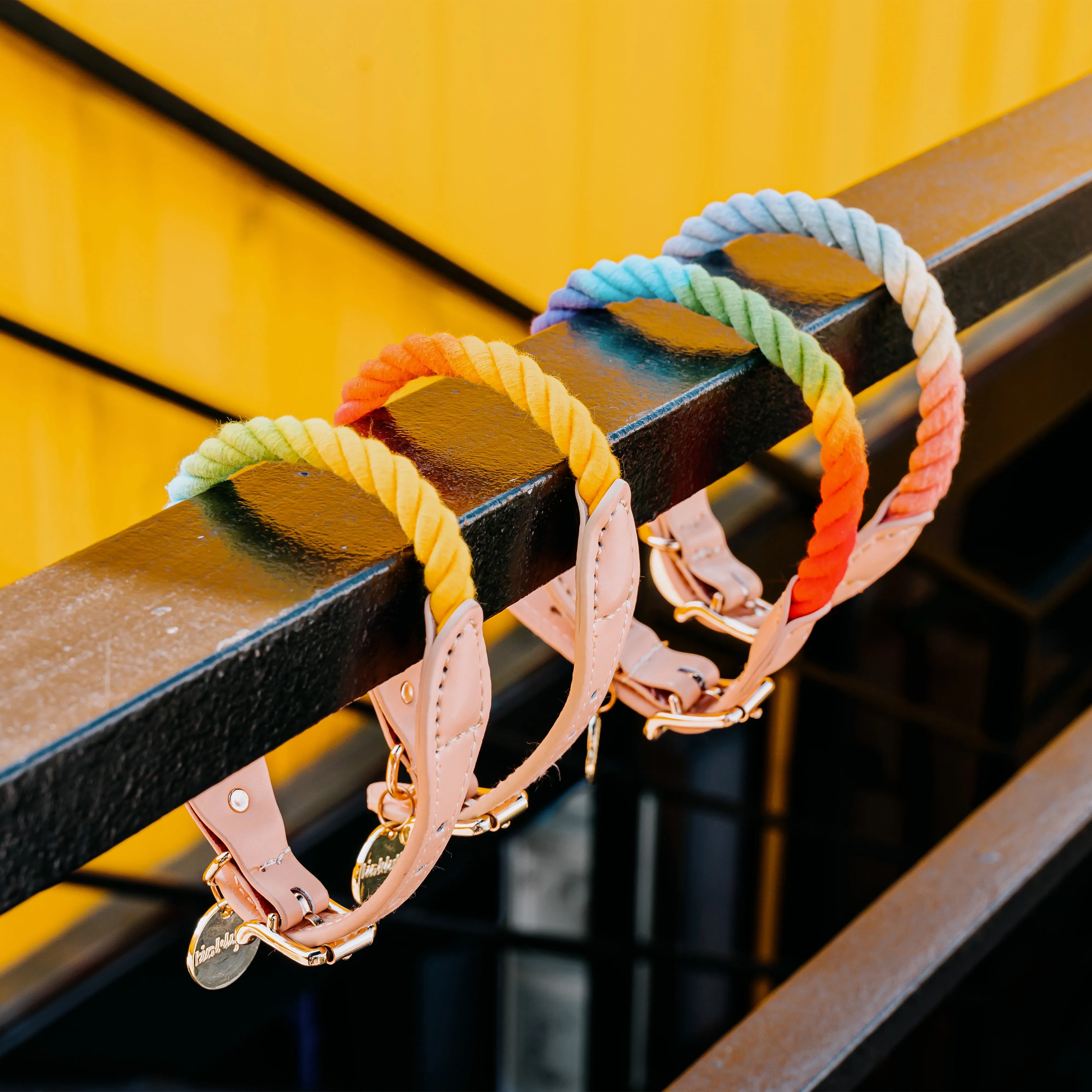 Rainbow Dog Collar