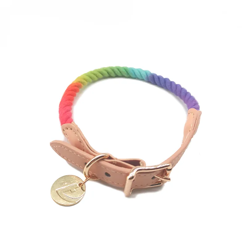 Rainbow Dog Collar