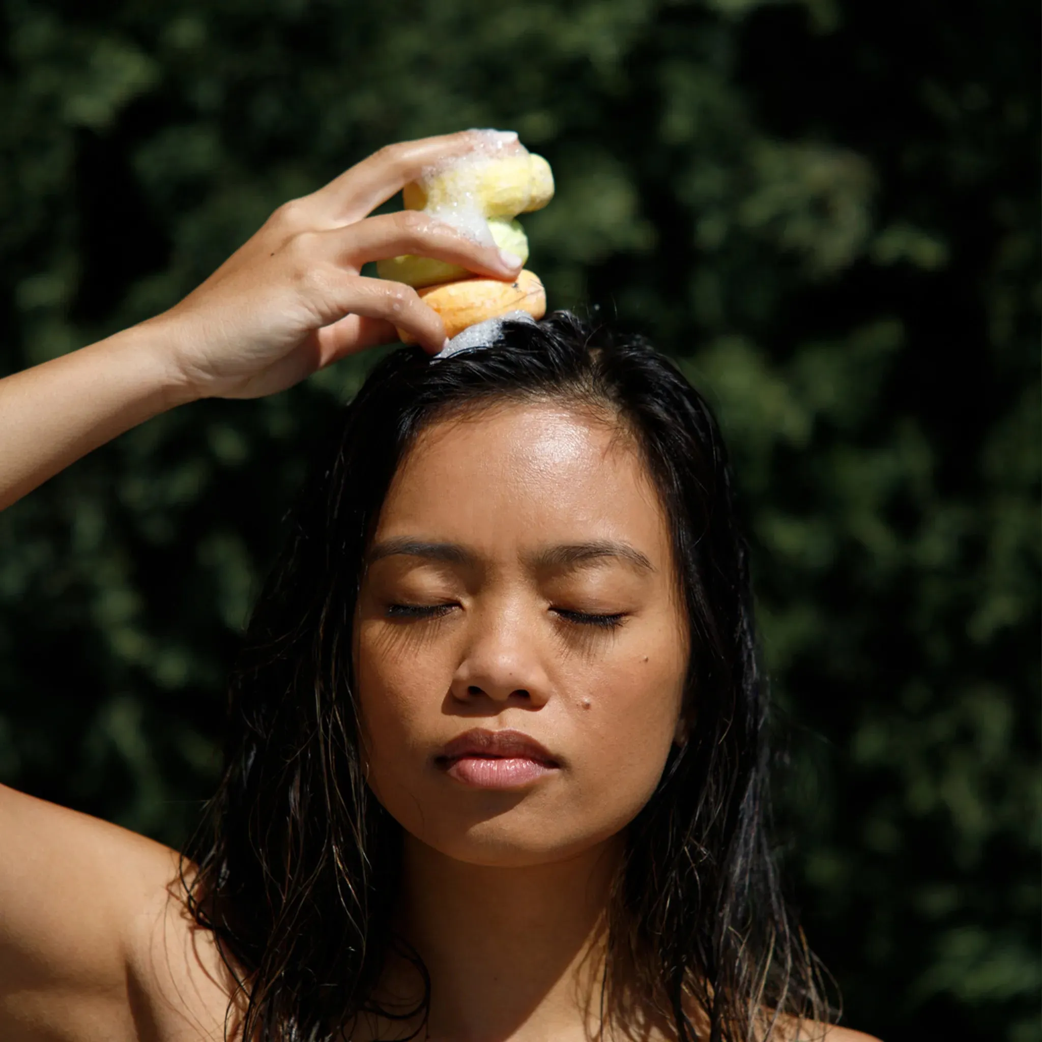 Shampoo Bars
