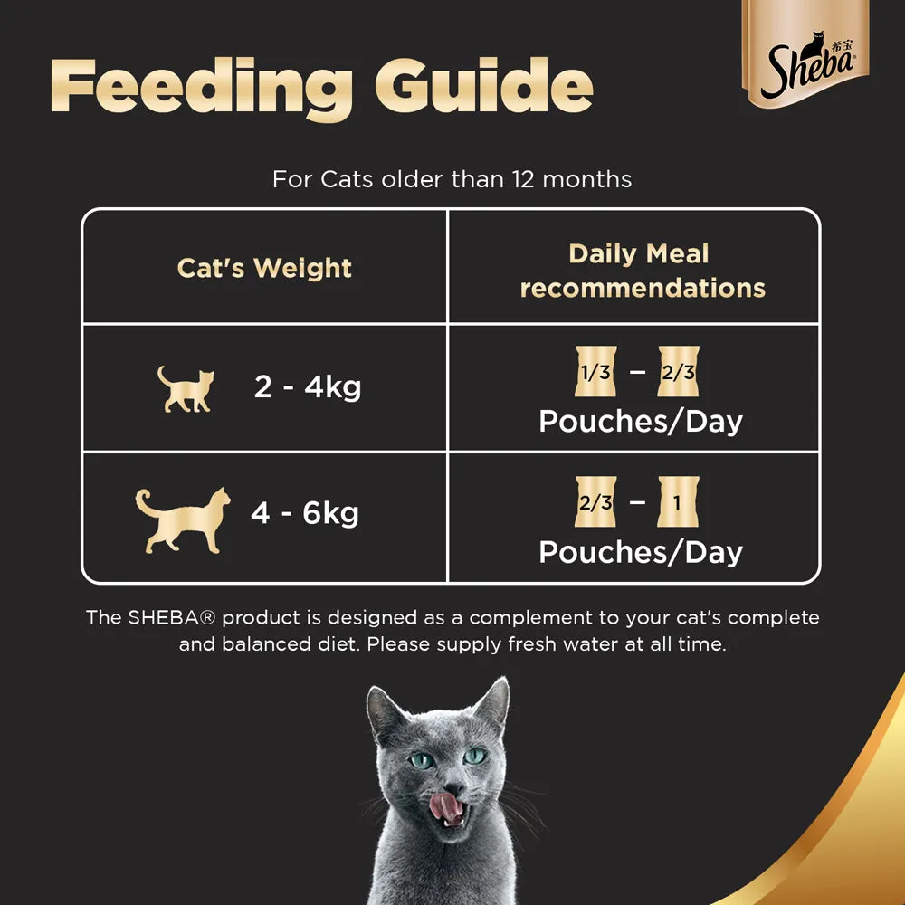 Sheba Fish with Dry Bonito Flake and Tuna Pumpkin & Carrot In Gravy Rich Premium Adult Fine Cat Wet Food Combo
