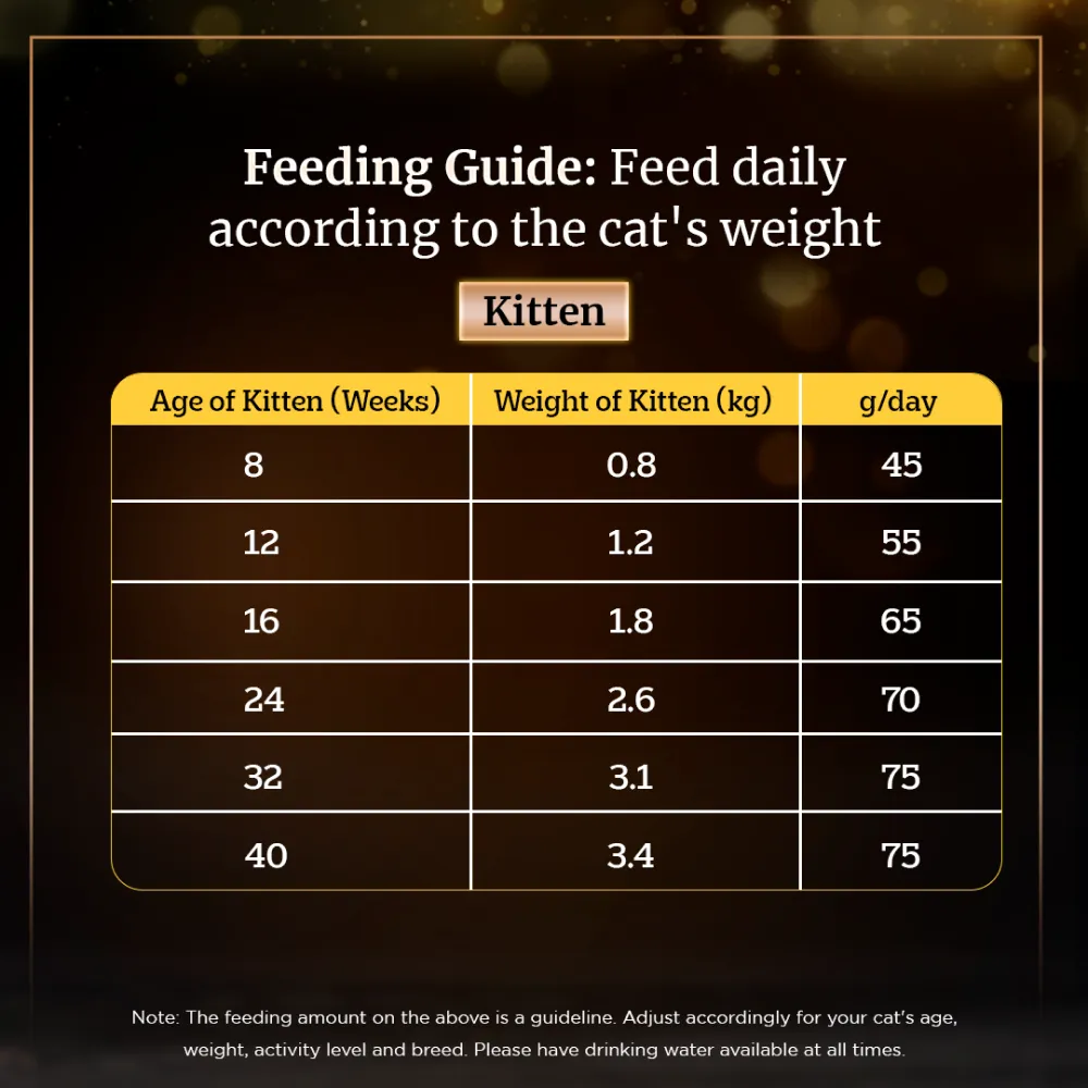 Sheba Tuna Pumpkin & Carrot In Gravy Rich Premium Adult Fine Cat Wet Food and Chicken All Life Stage Cat Dry Food Combo