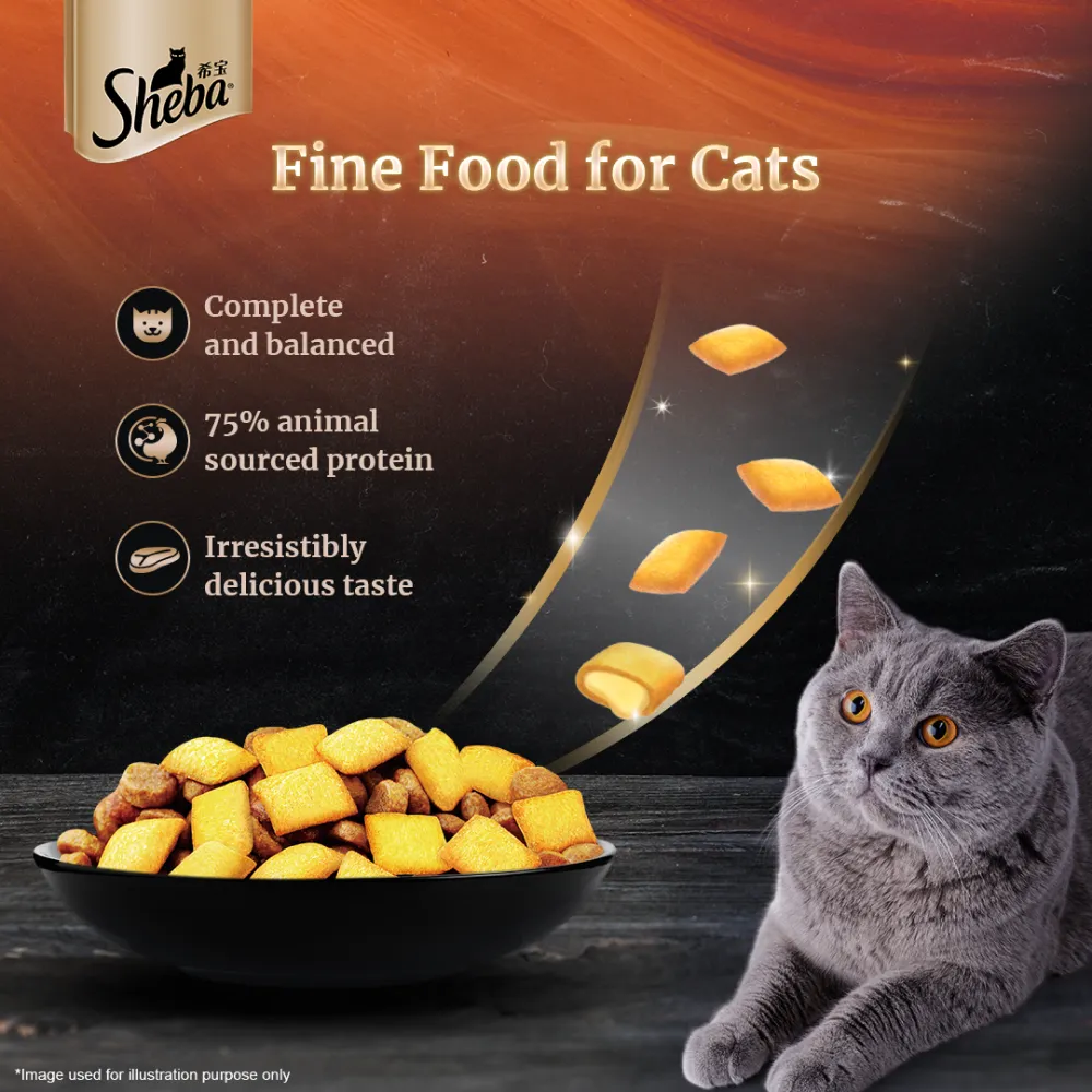 Sheba Tuna Pumpkin & Carrot In Gravy Rich Premium Adult Fine Cat Wet Food and Chicken All Life Stage Cat Dry Food Combo